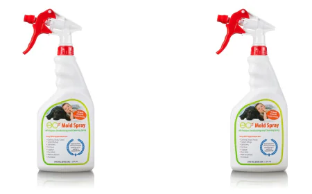 Where Should You Use EC3 Mold Spray?