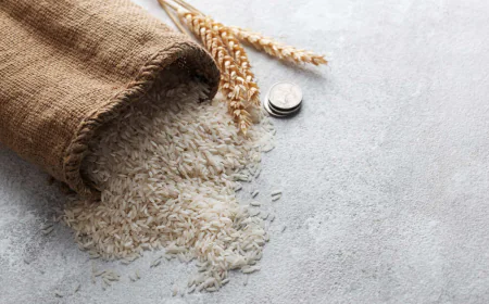 Leading Basmati Rice Exporters from India | Muskan Overseas
