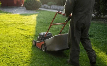 Should You Invest in Expert Lawn Seeding Services This Spring?