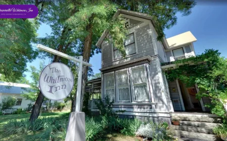 Where Can You Find the Best Lodging Near Weaverville CA