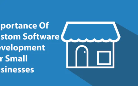 Everything You Need to Know About Custom Software Development for Small Businesses