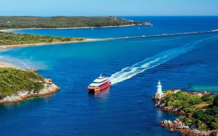 Discover Ancient Rainforests and Wild Beauty with Gordon River Cruises