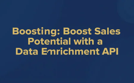 Boosting Sales Potential with a Data Enrichment API