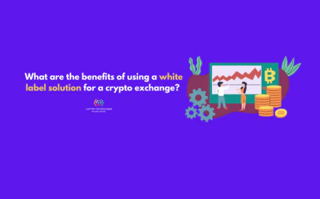 What are the benefits of using a white label solution for a crypto exchange?