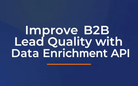 Improve B2B Lead Quality with Data Enrichment API