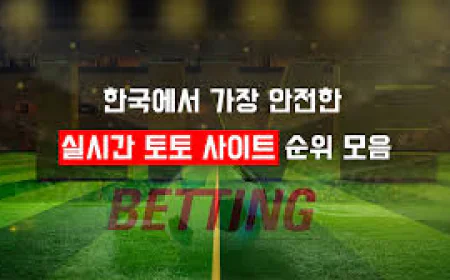 안전한 스포츠 토토사이트 선택을 위한 가이드