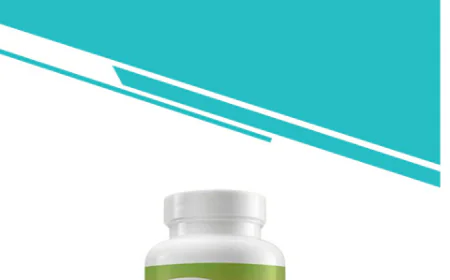 ProZenith Reviews: Customer Stories & Results That Inspire