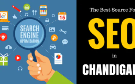 Why Choosing the Right SEO Consultant in Chandigarh Matters for Your Business Growth