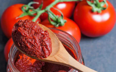 Tomato Paste Manufacturing Plant Project Report 2025, Machinery, Cost Analysis and Raw Material Requirements