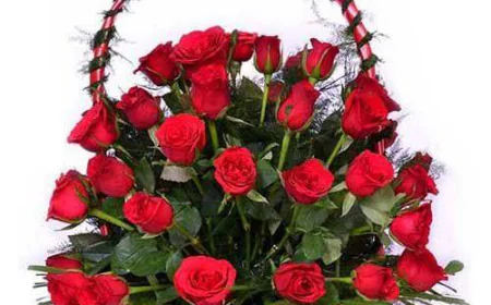 Flower Delivery in Noida – Fresh Blooms for Every Occasion