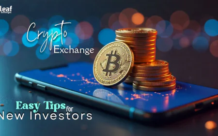Best Ways for Investors to Start Learning How to Trade on Crypto Exchanges