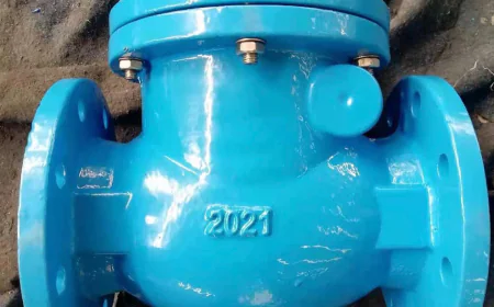 Check Valve Suppliers in UAE