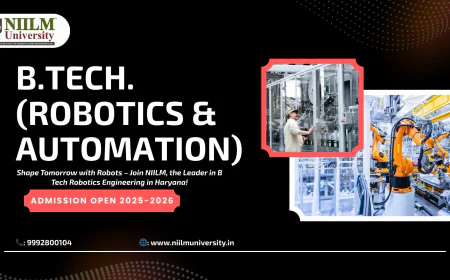 Lead the Robotics Revolution with NIILM University: Among the Top B Tech Robotics Engineering Colleges in Haryana