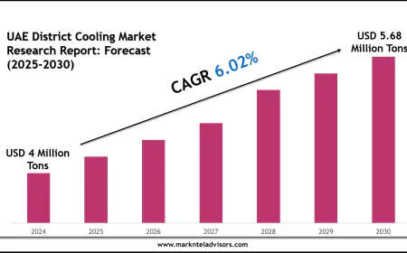 UAE District Cooling Market Growth Trends, Volume Insights & Outlook 2030