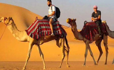 Unforgettable Desert Safari in Sharjah