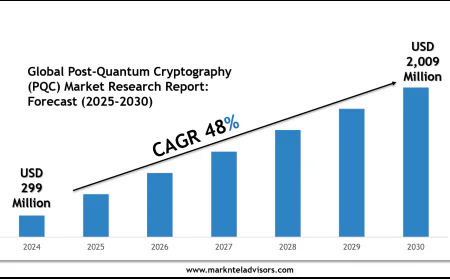 Post-Quantum Cryptography (PQC) Market Share, Size & Competitive Landscape Report 2030