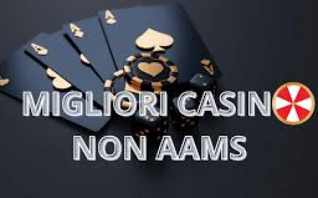 Come Trovare il Casino Non AAMS Perfetto per le Tue Esigenze di Gioco