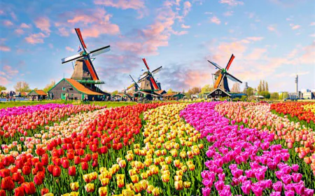 Universities in Netherlands Offering Masters Courses Without GRE Requirements