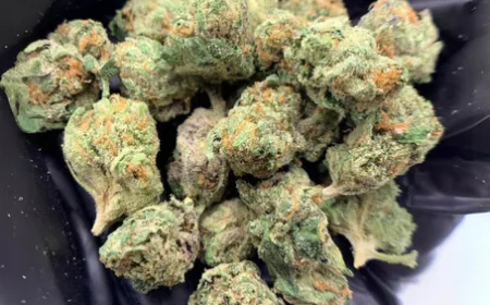 Different Strains of High Potency THCA Flower and Their Profiles