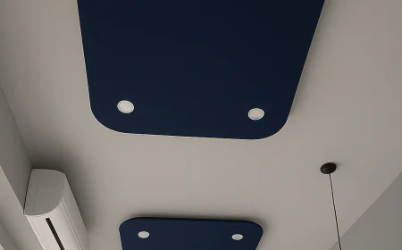 Acoustic Cloud Installation for Offices: How Somnandi Industries Transforms Workspaces in Gurugram