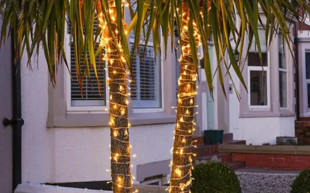 Lumeno lighting solutions for smart, stylish and eco living