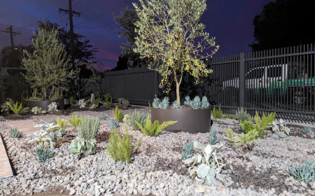 Transforming Outdoor Spaces: Expert Landscape Construction in Melbourne