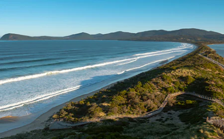 Explore Tasmania’s Wild Side from the Water on Bruny Island Cruises!