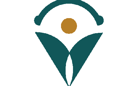 Optimize Clinical Documentation with Virtual Medical Scribe Services