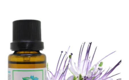 Blue Tansy Essential Oil: Skincare and Aromatherapy