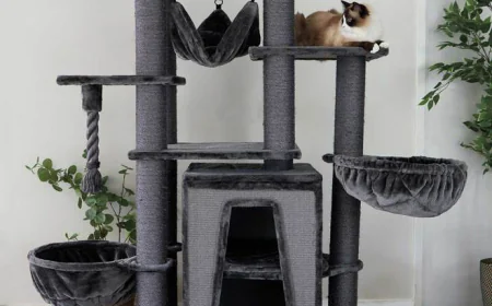 Finding the Perfect Scratching Solution for Your Cat