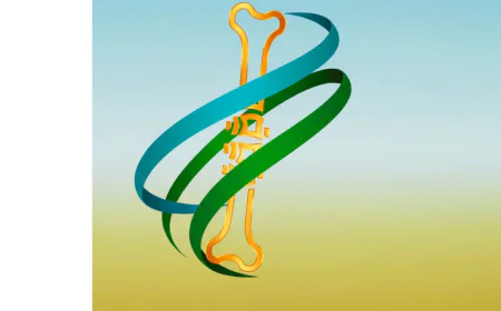 Orthopaedic Hospital Facilities That Make a Real Difference in Knee Surgery Recovery