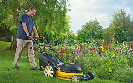 Professional Lawn Care Solutions for a Healthier Outdoor Space