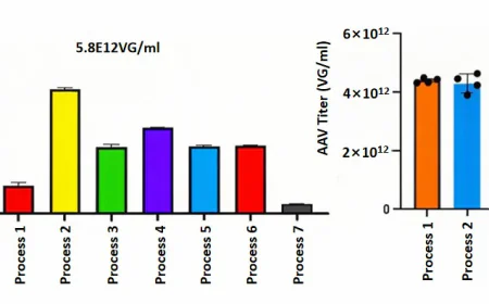 AAV Packaging Services to Accelerate Gene Therapy Research