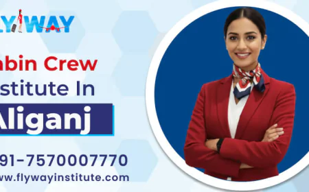 Best Cabin Crew Institute Near Aliganj: What Makes It Different?