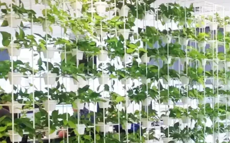 Create a Lush Urban Oasis with an Indoor Vertical Garden