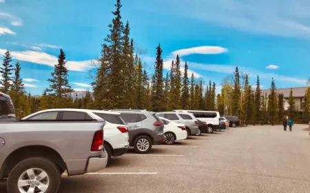 How a Car Rental Company Ensures Punctuality and Comfort for Executives?