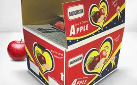 Rosh Pack Apple Boxes – Premium Packaging for Freshness and Quality