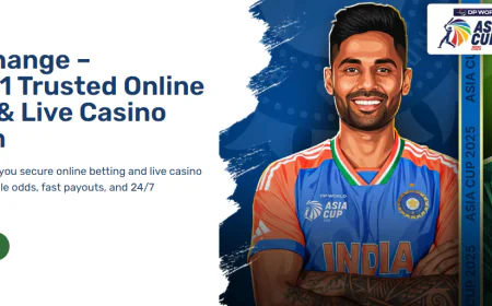 Win Exchange vs Laser247: Which Indian Betting Platform Truly Delivers?