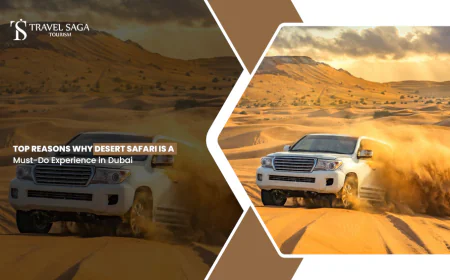 Top Reasons Why Desert Safari is a Must-Do Experience in Dubai