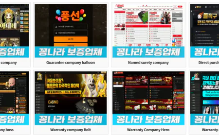 제목: 실전 가이드 — 안전하게 ‘꽁머니’를 고르는 5단계 (꽁나라 검증 기준과 함께)