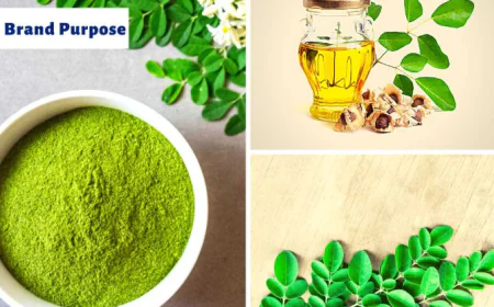 The Growing Role of Moringa Products Suppliers in Global Wellness Markets