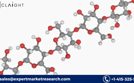 Nanocellulose Market Size, Share & Growth 2025-2034