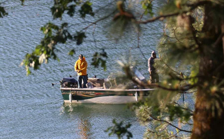 Ultimate Guide to Fishing at Shasta Lake: Tips, Seasons & Reports