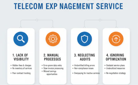 Common Mistakes to Avoid in Telecom Expense Management Service.