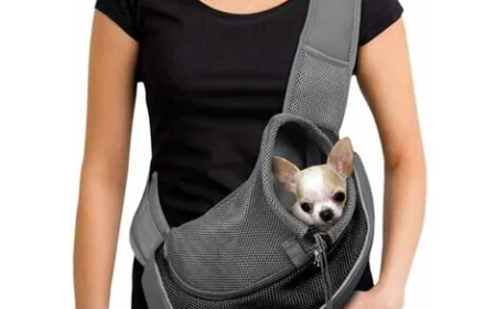 Stylish Travel Made Easy for Pet Owners in the United Kingdom