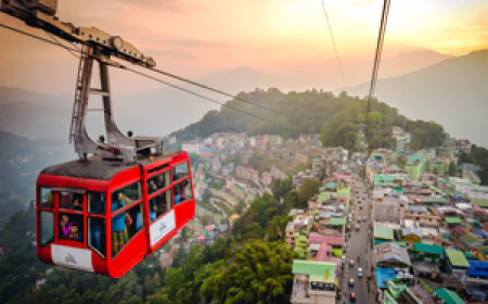 Live Like Locals: Top Homestays in Sikkim