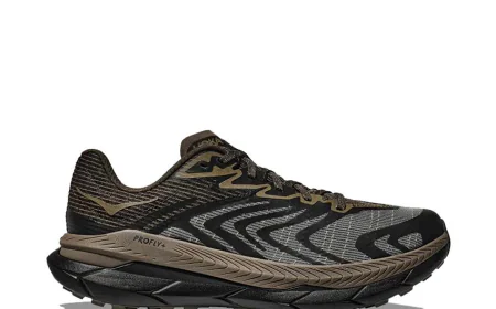 The Secret Behind the Timeless Hype of Panda Dunks