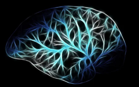 How Organoids Are Revolutionizing Neuroscience