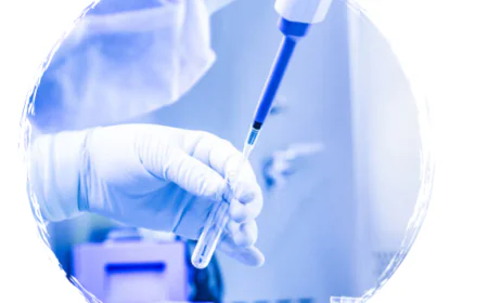 Unlocking the Power of Macrophages: A New Frontier in Drug Delivery and Immunotherapy