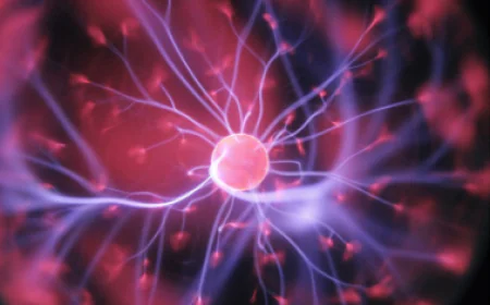 Harnessing Neural Lineages: iPSC-Based Models for Crest Cells, Glia, and Beyond